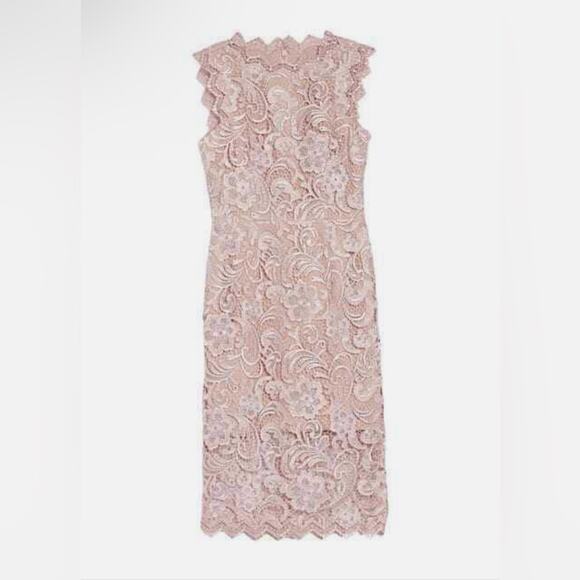 Dress The Population Cardea Guipure Lace Dress in Dusty Rose Pink Size S - Picture 1 of 6
